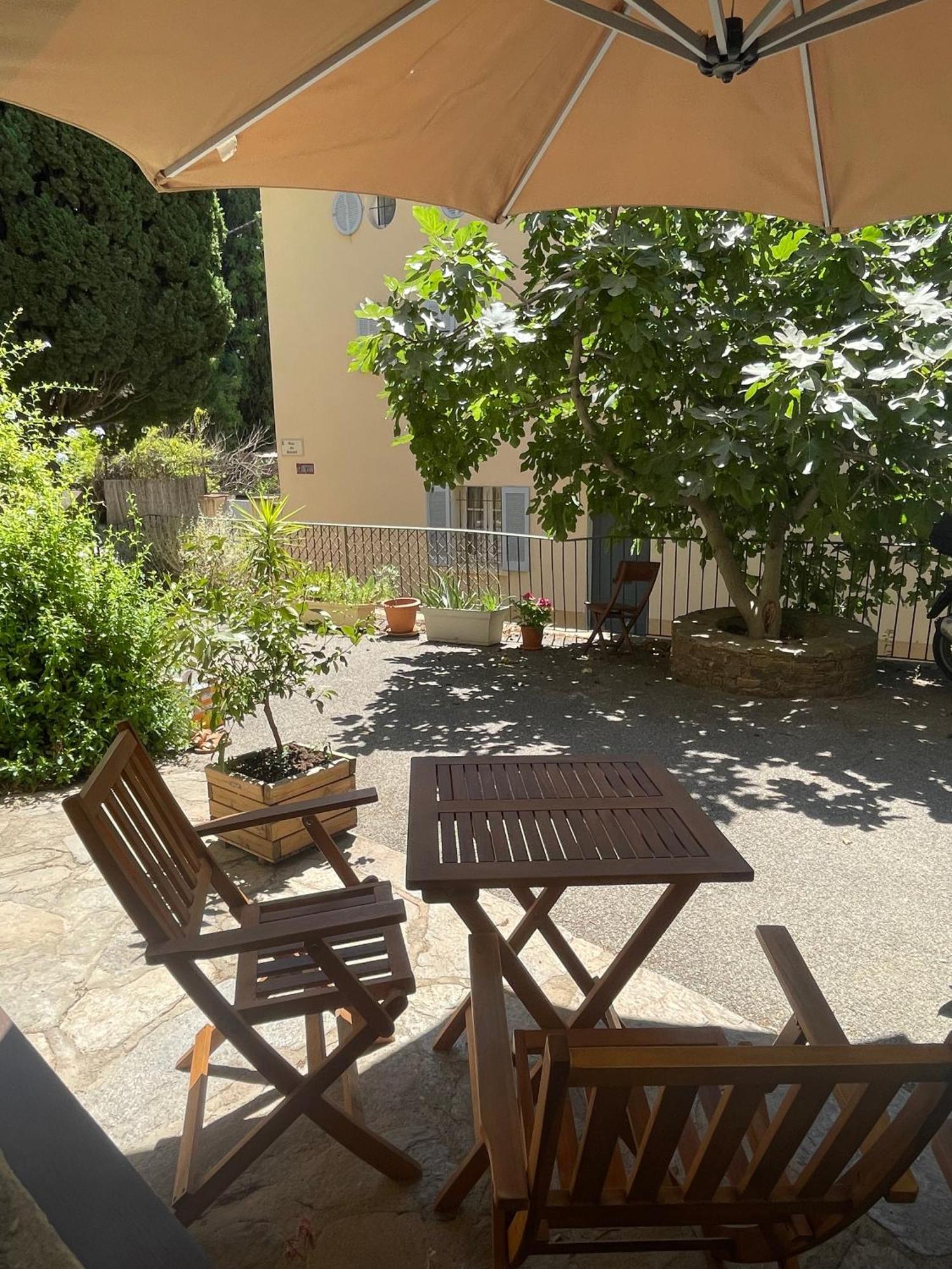 Cosy Studio - Place Du Figuier Борм-ле-Мимоза Екстериор снимка
